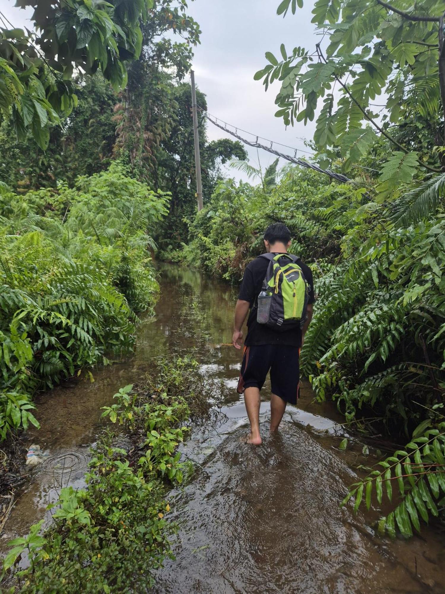 Adventure Turtle Homestay Meru Betiri Sarungan Esterno foto